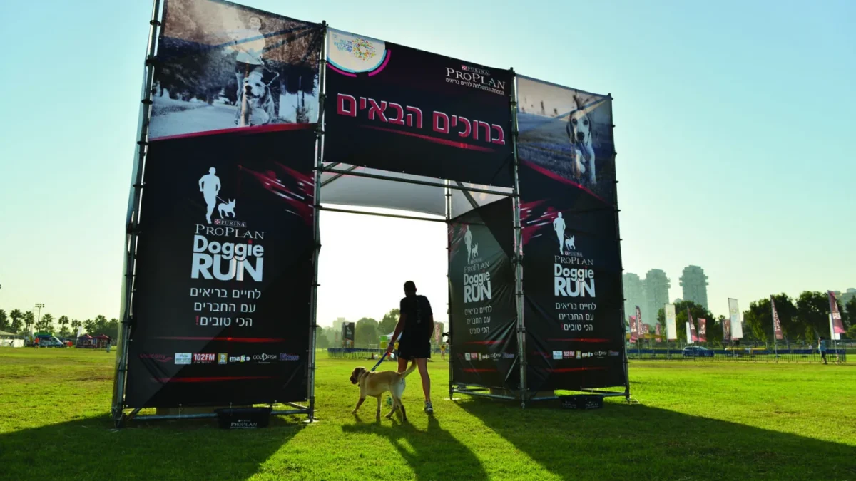 דוגי ראן – מירוץ כלבים של נסטלה